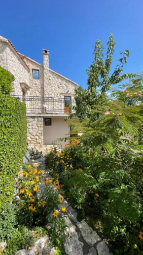 Mountains Villa near Budva